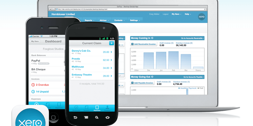 xero accounting categories