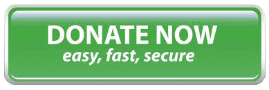 Donate now button