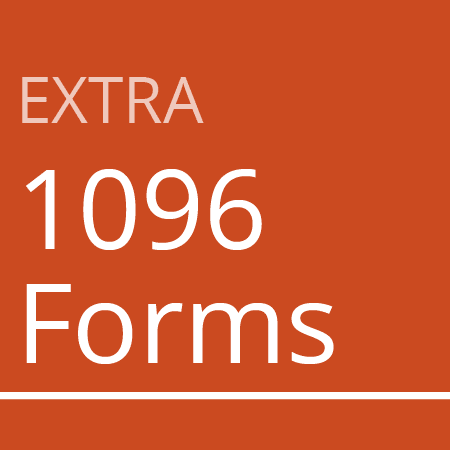 Extra 1096 Forms