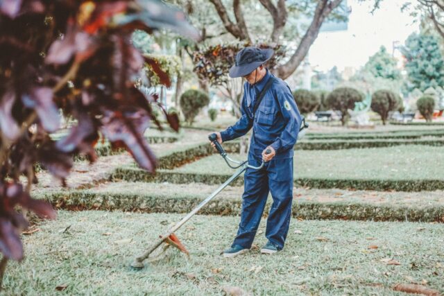 Gardener cutting grass